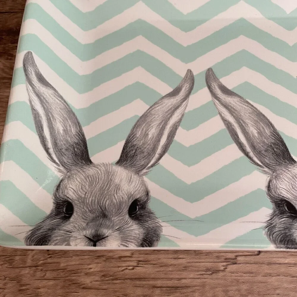 Pier 1 Easter Bunny Ears Chevron Stripe Porcelain Rectangle Platter 14.5